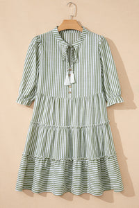Magnolia Market Dress